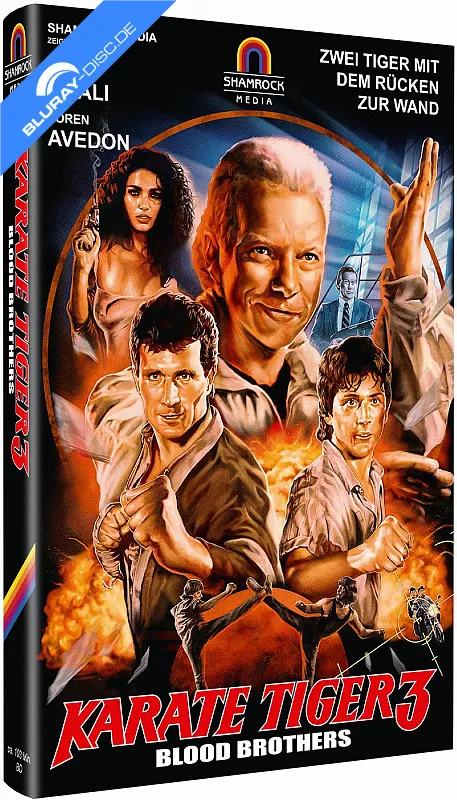 karate-tiger-3---blood-brothers-limited-hartbox-edition-cover-b.webp