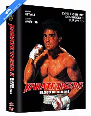 Karate Tiger 3 - Blood Brothers (Year of the Dragon Edition #4) (Limited Mediabook Edition) (Cover E) (Blu-ray + Bonus-DVD) Blu-ray