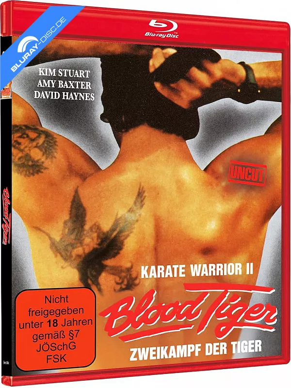 karate-warrior-2-limited-edition-cover-b-de.webp