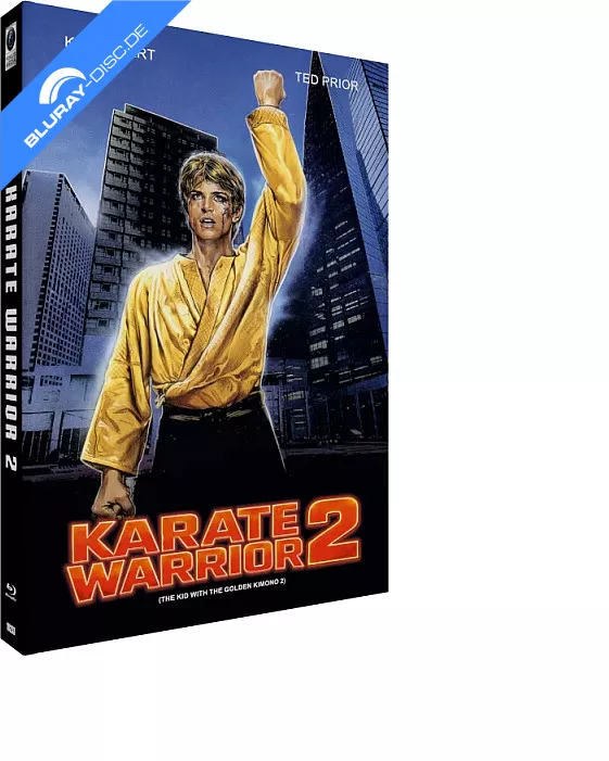 karate-warrior-2-limited-hartbox-edition--de.webp