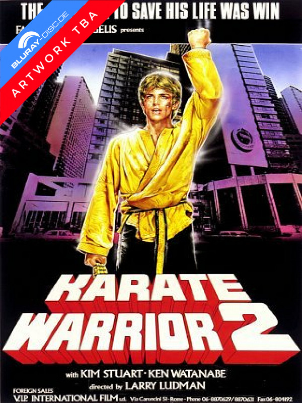 karate-warrior-2-wattierte-limited-mediabook-edition-vorab.webp