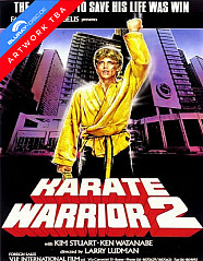 karate-warrior-2-wattierte-limited-mediabook-edition-vorab_klein.jpg