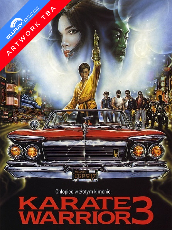 karate-warrior-3-wattierte-limited-mediabook-edition-vorab.webp