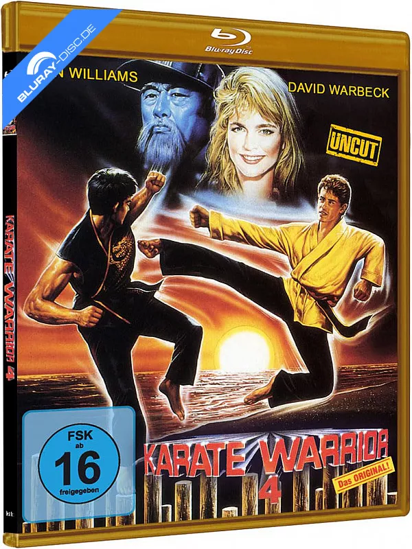 karate-warrior-4-limited-edition-cover-b-de.webp