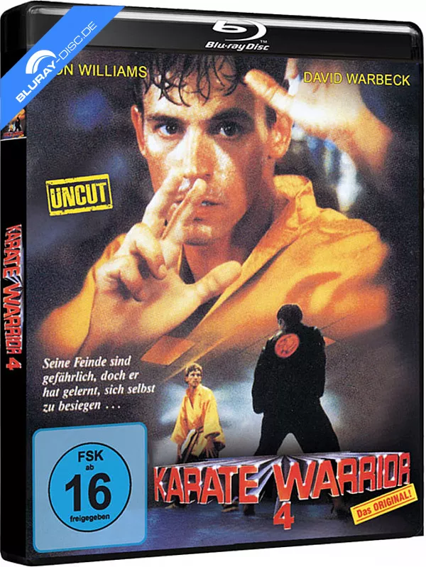 karate-warrior-4-limited-edition-de.webp