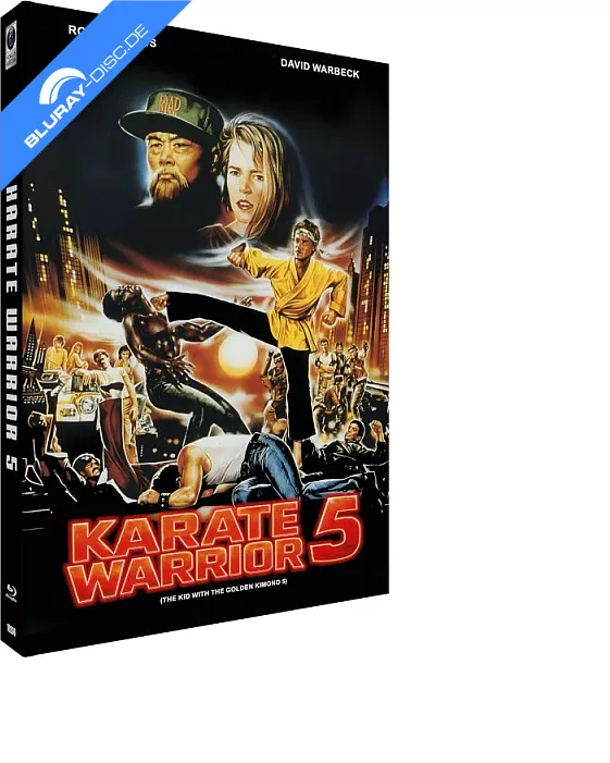 karate-warrior-5-limited-hartbox-edition--de.webp