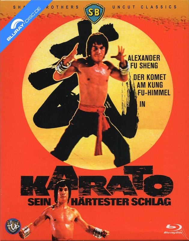 karato---sein-haertester-schlag-neu.webp