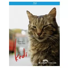 kedi-2016-us.webp