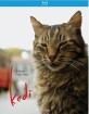 Kedi (2016) (US Import ohne dt. Ton) Blu-ray