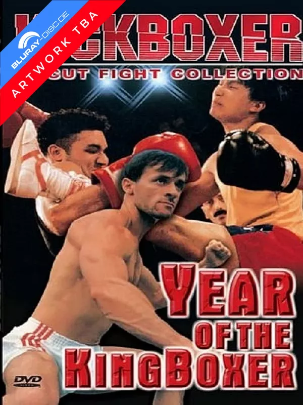kickboxer-king---year-of-the-kickboxer-wattierte-limited-mediabook-edition-vorab.webp