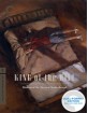 King of the Hill - Criterion Collection (Blu-ray + DVD) (Region A - US Import ohne dt. Ton) Blu-ray
