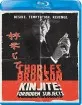 Kinjite: Forbidden Subjects (1989) (Region A - US Import ohne dt. Ton) Blu-ray