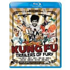 kung-fu-trailers-of-fury-us.webp