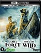 L'appel de la forêt 4K (4K UHD + Blu-ray) (FR Import) Blu-ray