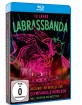 LaBrassBanda - Around the World Live Blu-ray