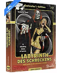 labyrinth-des-schreckens-limited-mediabook-edition-cover-c-blu-ray---dvd_klein.webp