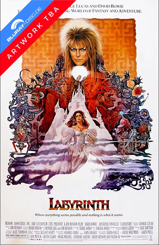 labyrinthe-4k--4k-uhd---blu-ray--fr-.webp