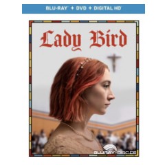 lady-bird-2017-us.jpg