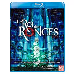 le-roi-des-ronces-fr.webp