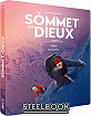 Le Sommet des Dieux (2021) - Édition Steelbook (Blu-ray + DVD + Audio CD + Digital Copy) (FR Import ohne dt. Ton) Blu-ray