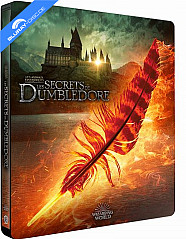 Les Animaux fantastiques 3: Les Secrets de Dumbledore 4K - Édition Boîtier Steelbook (4K UHD + Blu-ray) (FR Import) Blu-ray