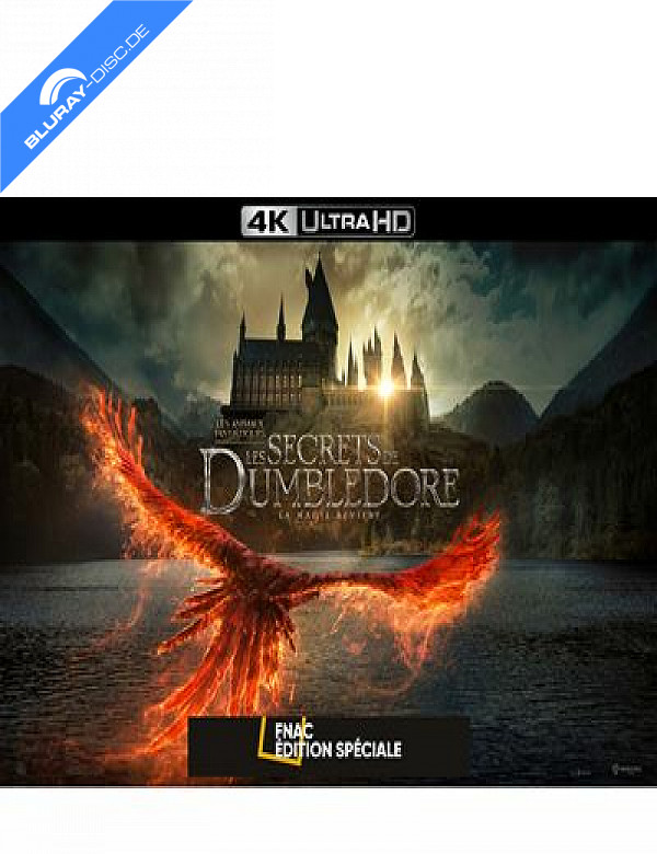 Les Animaux Fantastiques 3: Les Secrets De Dumbledore 4K - FNAC ...