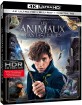 Les Animaux Fantastiques 4K (4K UHD + Blu-ray + UV Copy) (FR Import) Blu-ray