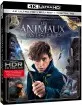 Les Animaux Fantastiques 4K (4K UHD + Blu-ray + UV Copy) (FR Import) Blu-ray