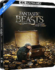 Les Animaux Fantastiques 4K - Édition Limitée Steelbook (4K UHD + Blu-ray) (FR Import) Blu-ray
