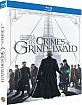 Les Animaux Fantastiques: Les Crimes de Grindelwald - Theatrical and Extended Cut (Blu-ray + Bonus Blu-ray) (FR Import ohne dt. Ton) Blu-ray