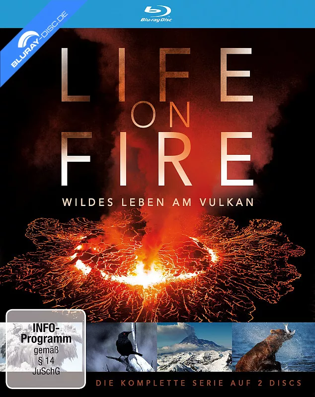 life-on-fire---wildes-leben-am-vulkan-neu.webp