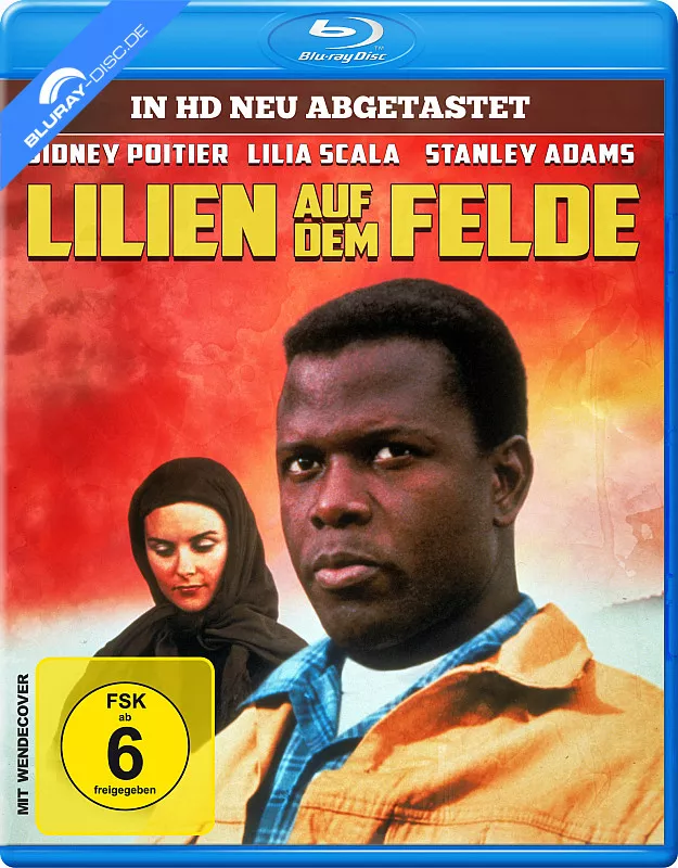 lilien-auf-dem-felde--neu.webp