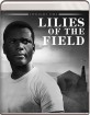 Lilies of the Field (1963) (US Import ohne dt. Ton) Blu-ray