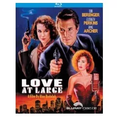 love-at-large-us.webp