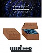 Loving Vincent (2017) - The Blu Collection Limited Edition #013 / KimchiDVD Exclusive #72 Limited Edition Steelbook - One-Click Box Set (KR Import ohne dt. Ton) Blu-ray