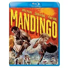 mandingo-us.webp