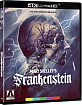 Mary Shelley's Frankenstein (1994) 4K - Limited Edition Fullslip (US Import ohne dt. Ton) Blu-ray