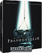 Mary Shelley's Frankenstein (1994) 4K - Zavvi Exclusive Limited Edition Steelbook (4K UHD + Blu-ray) (US Import ohne dt. Ton) Blu-ray