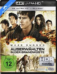 Maze Runner - Die Auserwählten in der Brandwüste 4K (4K UHD + Blu-ray + UV Copy) Blu-ray