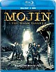 Mojin - The Worm Valley (2018) (Blu-ray + DVD) (Region A - US Import ohne dt. Ton) Blu-ray