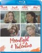 Moonlight and Valentino (1995) (Region A - US Import ohne dt. Ton) Blu-ray