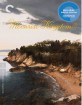 Moonrise Kingdom - The Criterion Collection (Region A - US Import ohne dt. Ton) Blu-ray