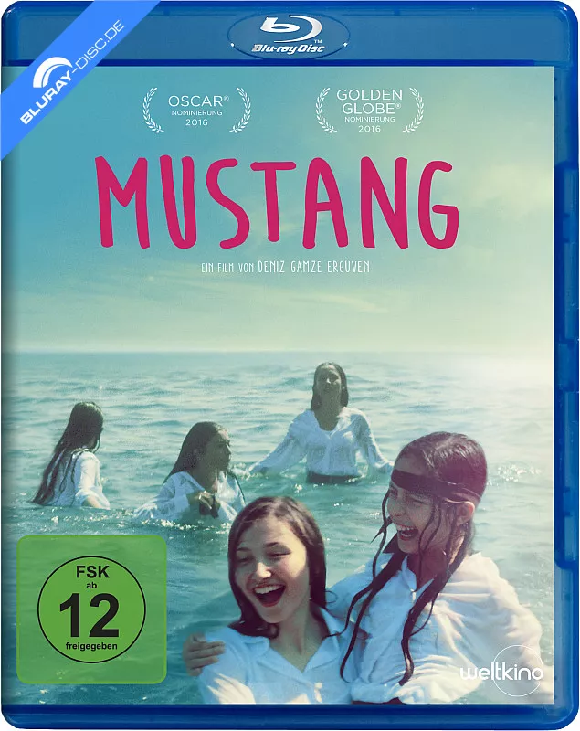 mustang-2015-neu.webp