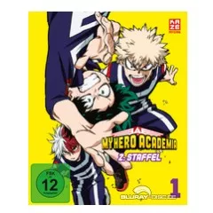 my-hero-academia---staffel-2---vol.-1.webp