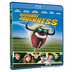 necessary-roughness-1991--us.jpg