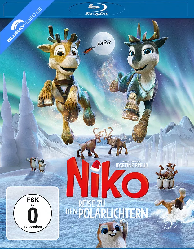 niko-3---reise-zu-den-polarlichtern-de.webp