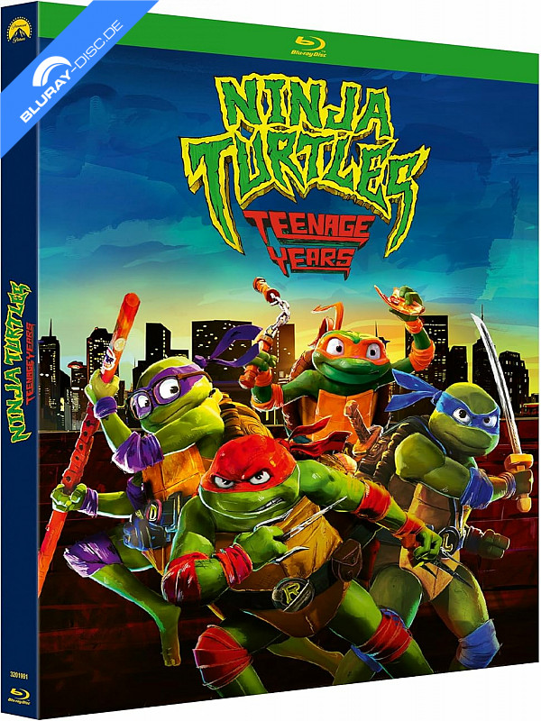 ninja-turtles-teenage-years-fr-import.webp