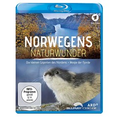 norwegens-naturwunder-die-kleinen-giganten-des-nordens---magie-der-fjorde-1.jpg