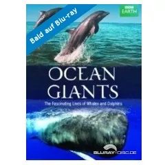 ocean-giants-us.webp