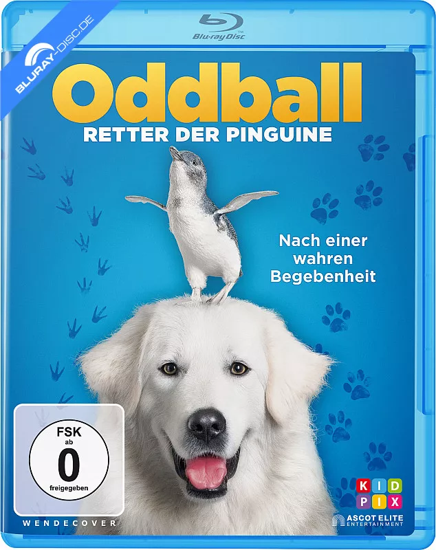 oddball---retter-der-pinguine-neu.webp